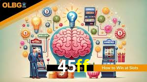 Experiência VIP 45ff